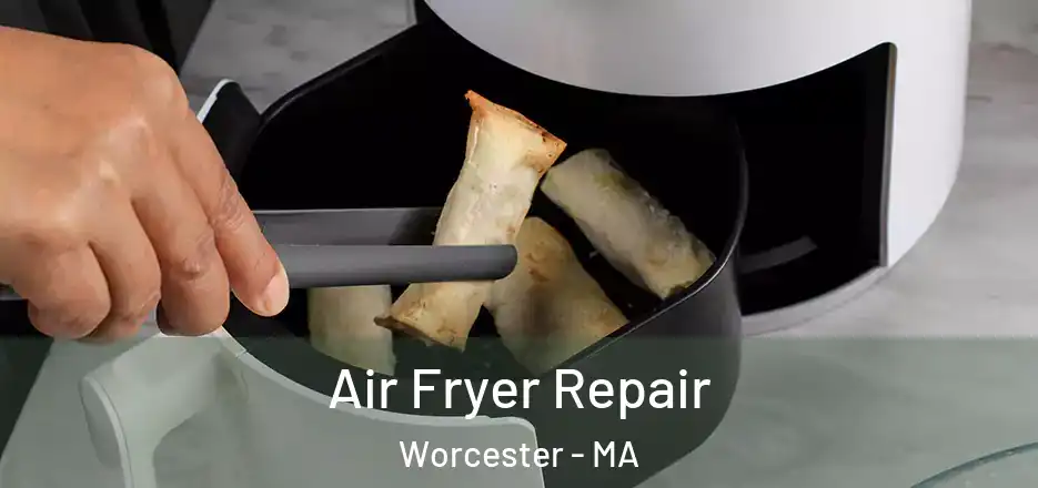 Air Fryer Repair Worcester - MA