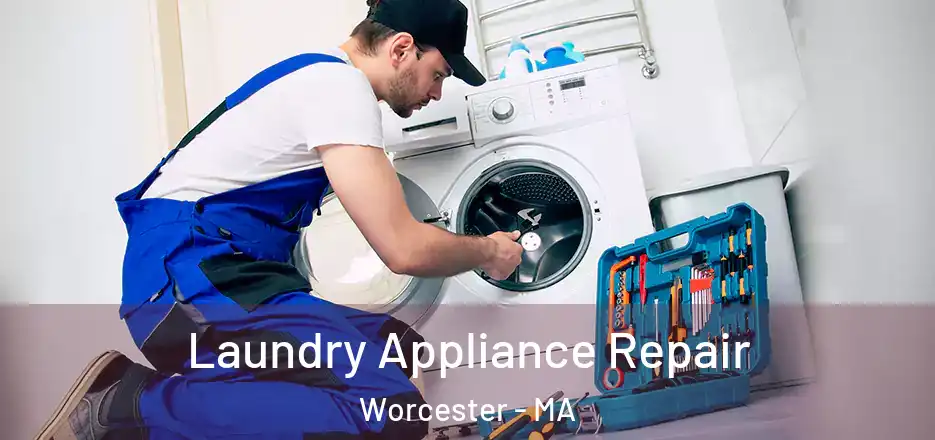  Laundry Appliance Repair Worcester - MA