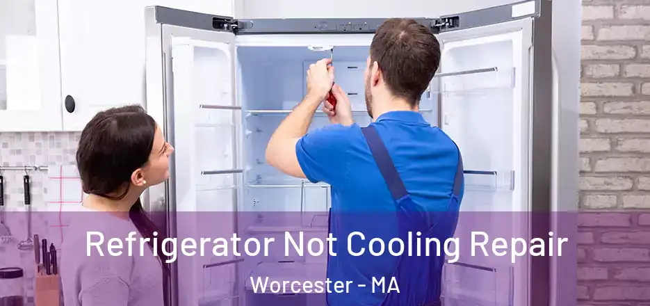  Refrigerator Not Cooling Repair Worcester - MA